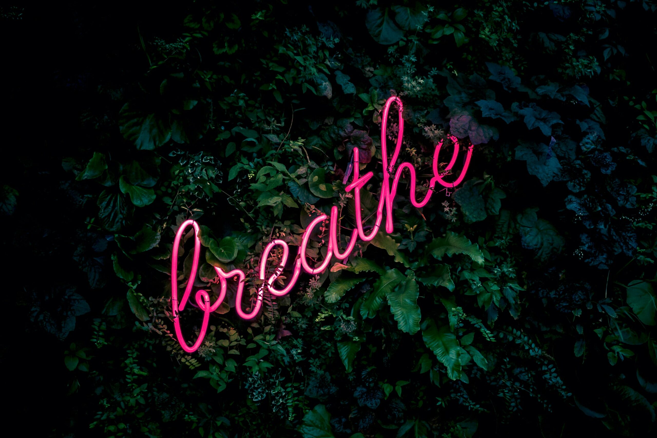 Breathing Is a Therapy for the Mind and Body