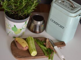 How To Create Compost To Get Your Garden Through Winter