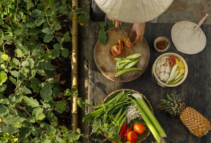 Are you Looking for Easy Tips to Start a New Diet?