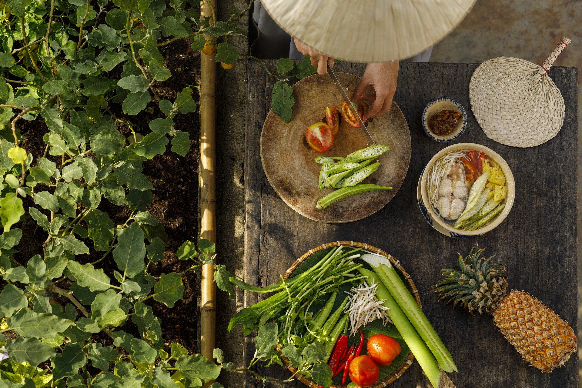 Are you Looking for Easy Tips to Start a New Diet?